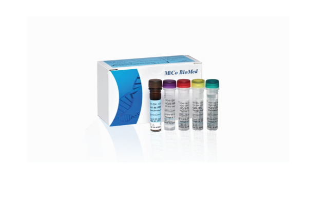 PCR Kit